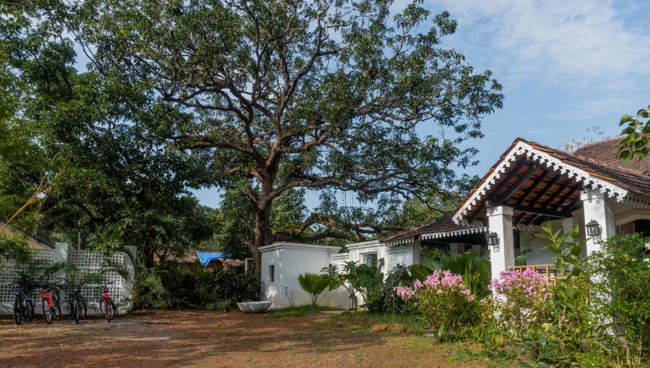 The Island Sanctuary - A Village Secret Chorao ภายนอก รูปภาพ